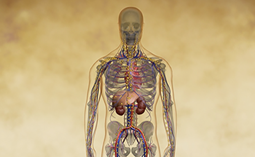 case study anemia of chronic disease